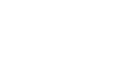 Polaro