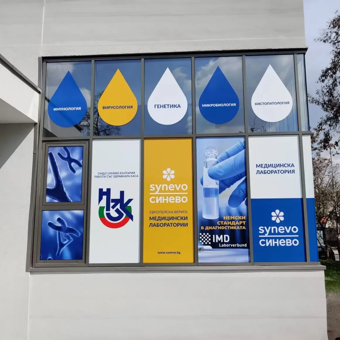 Лаборатории Синево