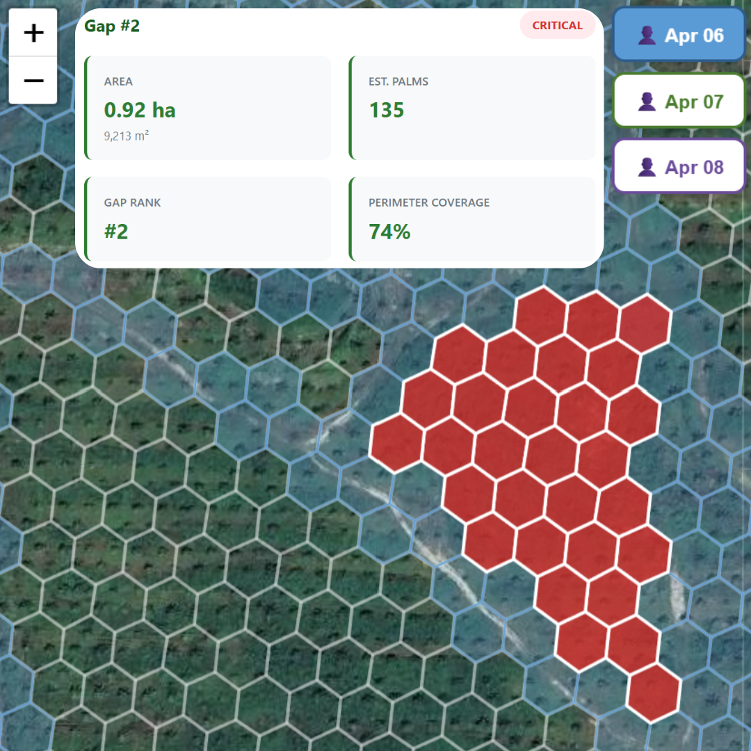 Aerial plantation map with a hexagonal grid overlay revealing operational blind spots