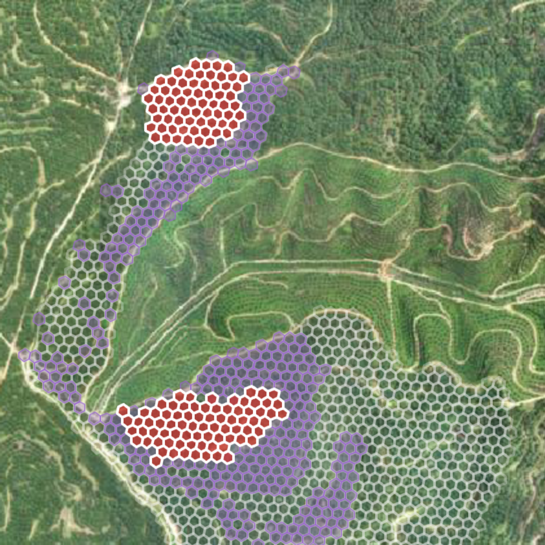 AgriTrace platform screenshot flagging a critical 0.92-hectare replanting gap on a hexagonal block map