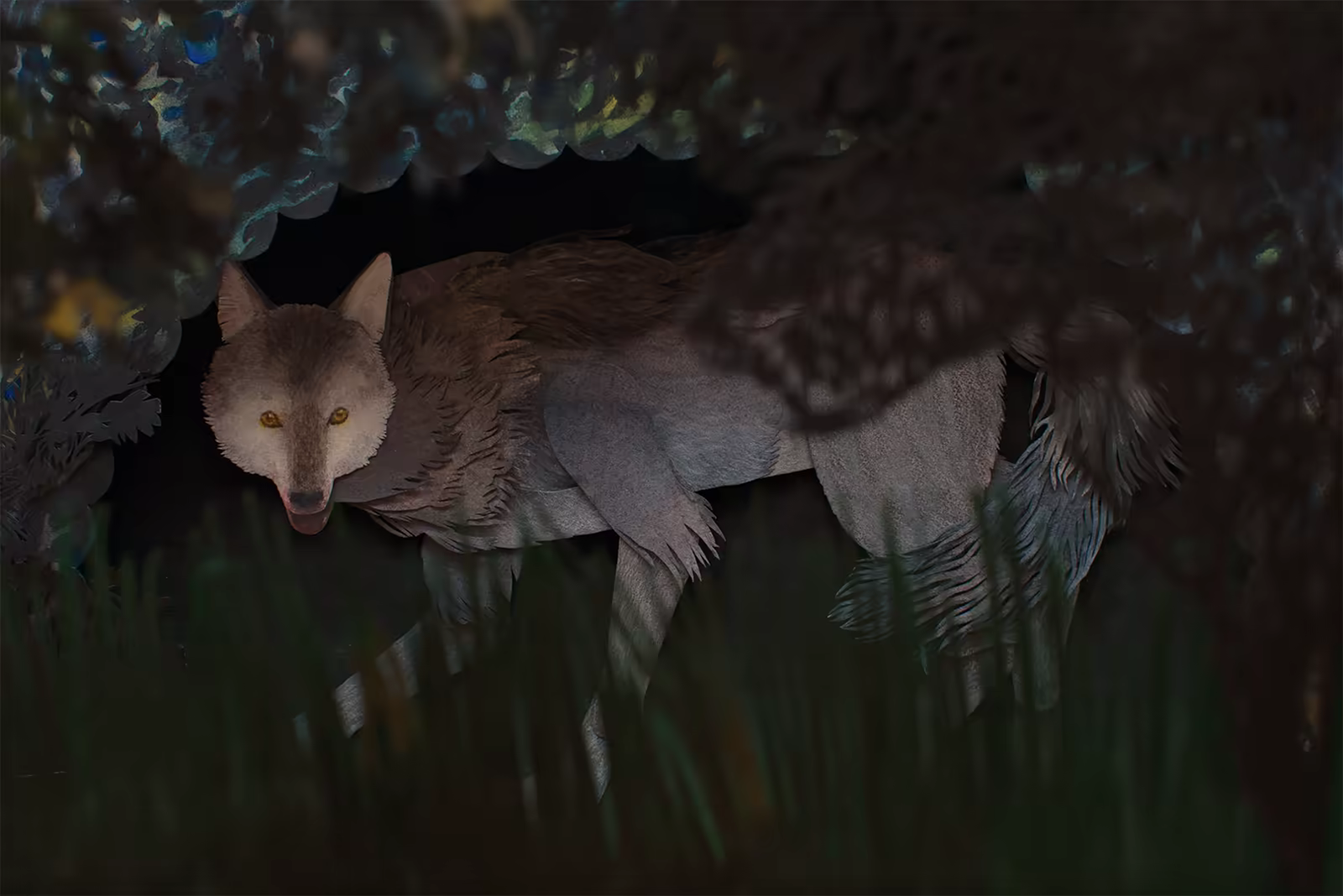 The wolf has come