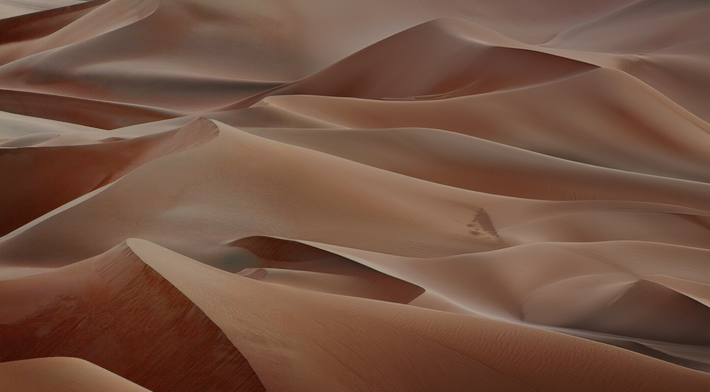 Textural desert landscape
