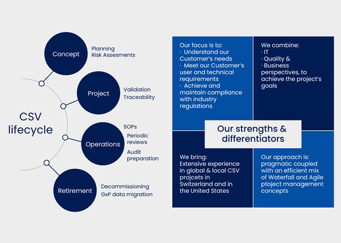 CSV | How Vimachem Can Help | Our Strengths & Differentiators