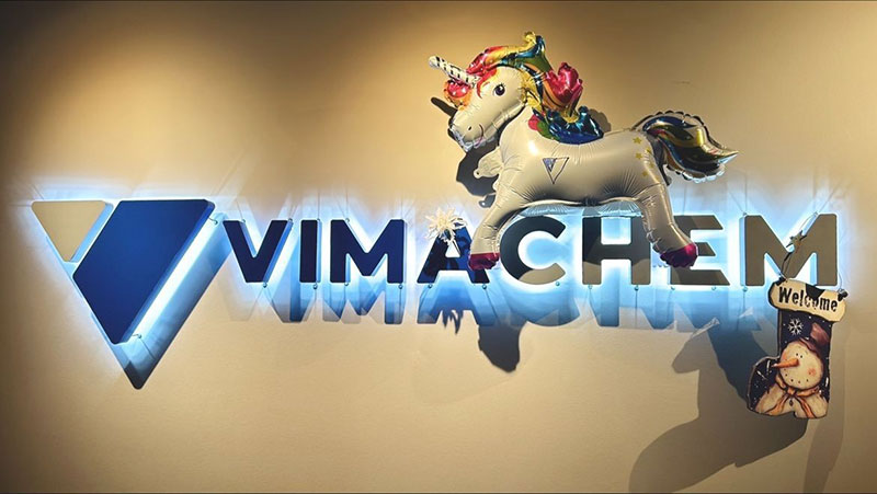 Wishing You a Magical Christmas from Vimachem!