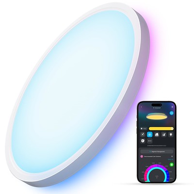 Smart Ceiling Light 12" RGBIC