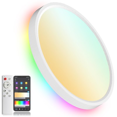 Smart Ceiling Light 30W 12"