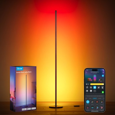 RGBIC Smart Floor Lamp Basic