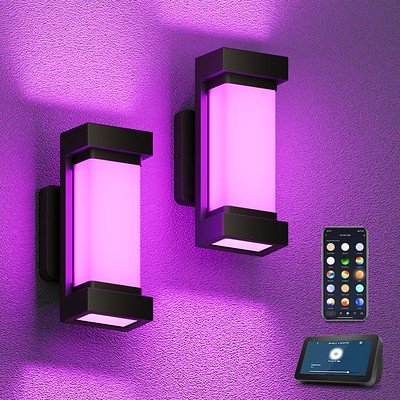 Smart LED Outdoor Wall / Porch Lights 2100LM, 2-Pack