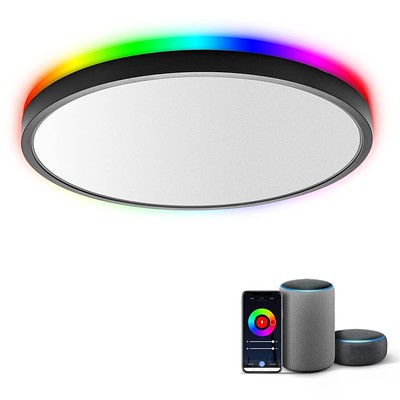 Smart Ceiling Light