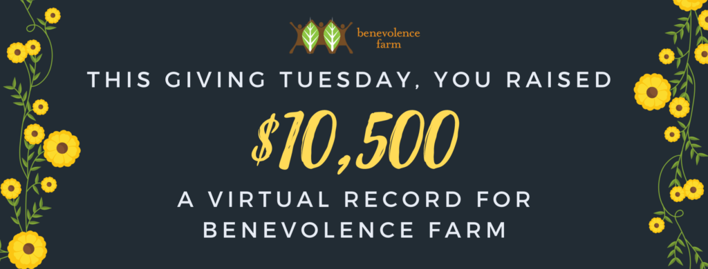 Graphic reading: this Giving Tuesday, you raised $10,500