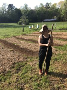 A person hoeing a garden bed in the farm field