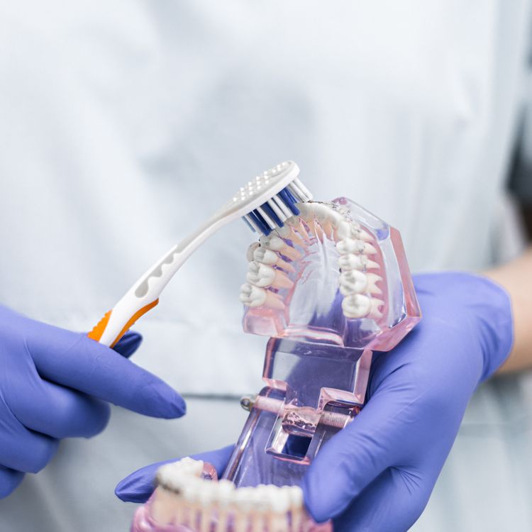 Close-up of a dentist demonstrating brushing technique on a dental model.