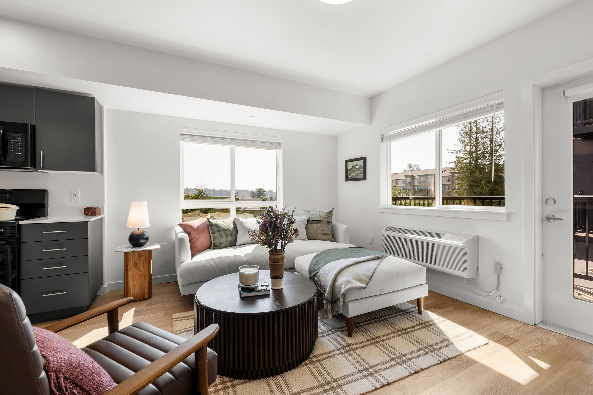 Fully furnished living room