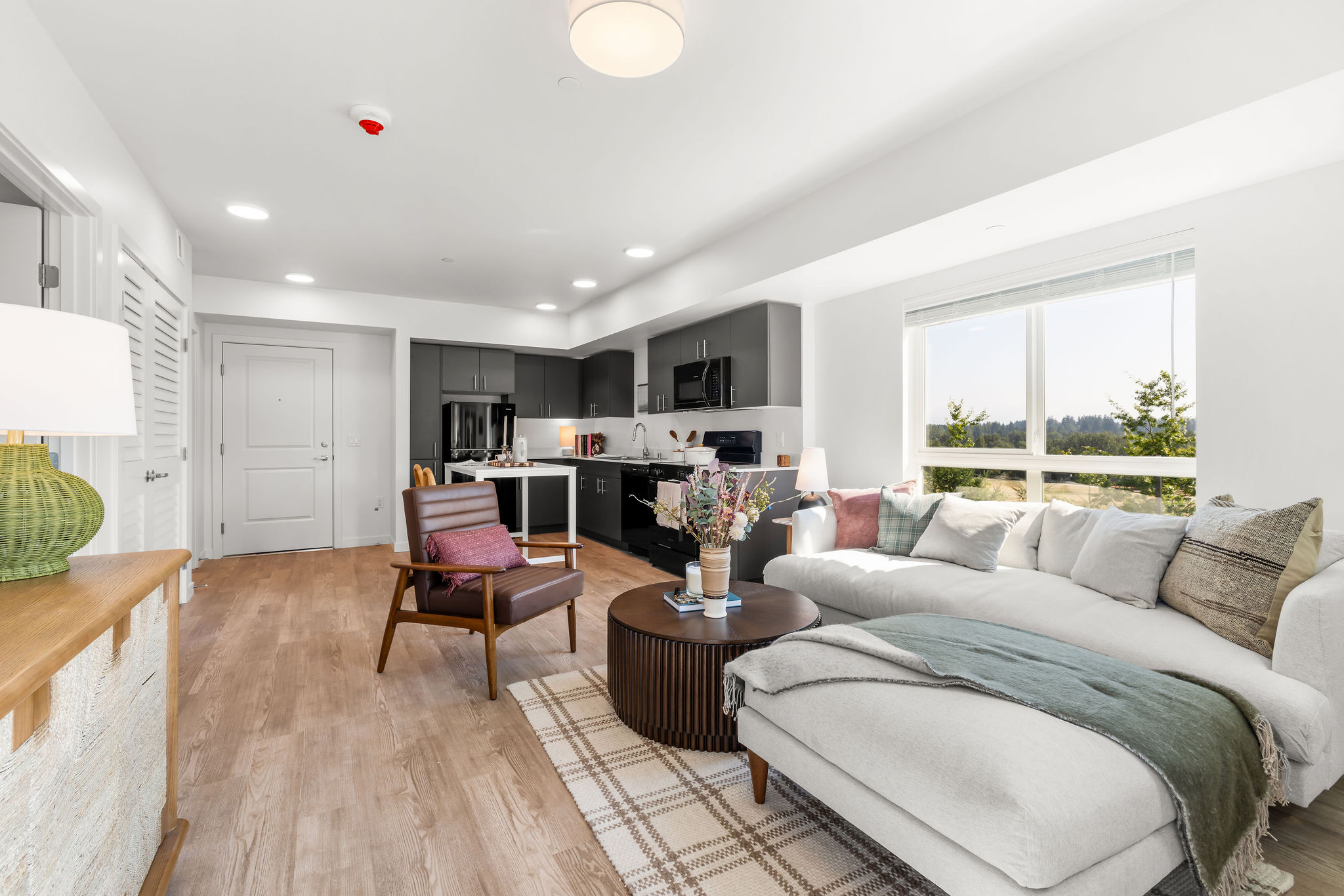 Fully furnished living room