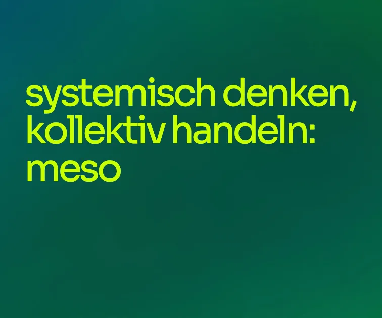 Grüne Farbfläche mit dem Claim «systemisch denken, kollektiv handeln: meso»