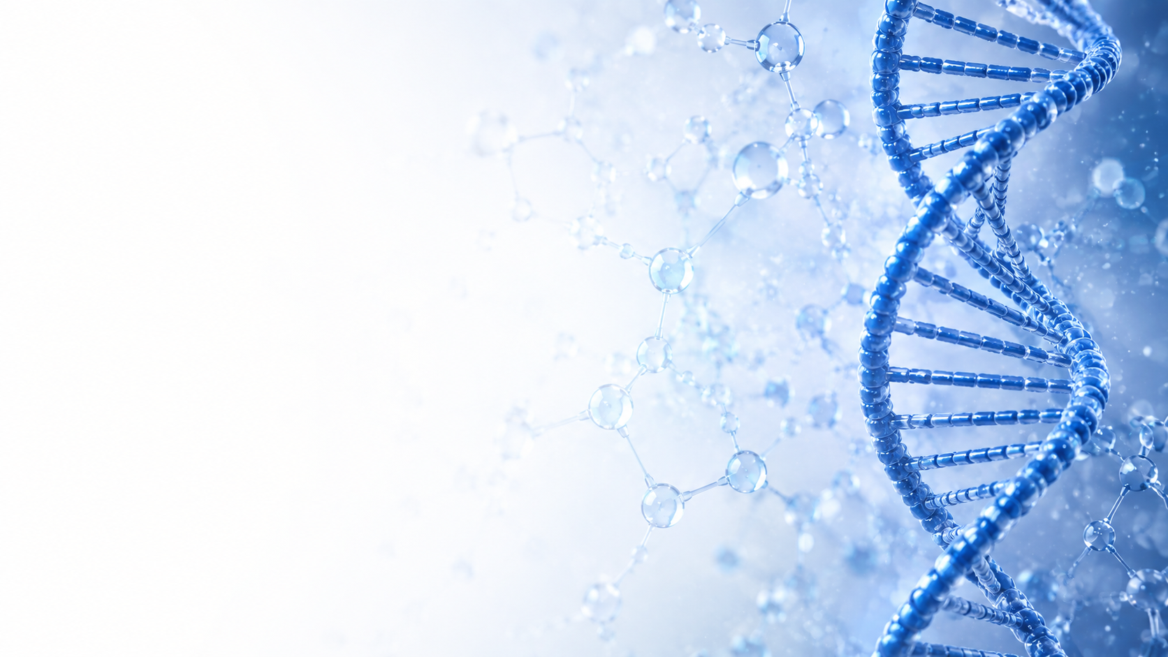 Kings BioLabs DNA molecular graphic