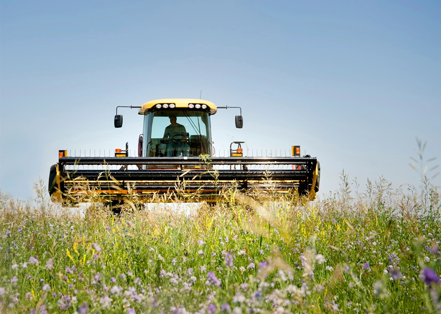Yellow combine harvester with a visible driver operating it, moving through a field of tall wildflowers and grasses under a clear blue sky.