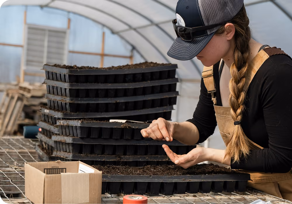 Person wearing a cap, sunglasses on the cap, and brown overalls planting seeds into soil-filled seed trays inside a greenhouse.