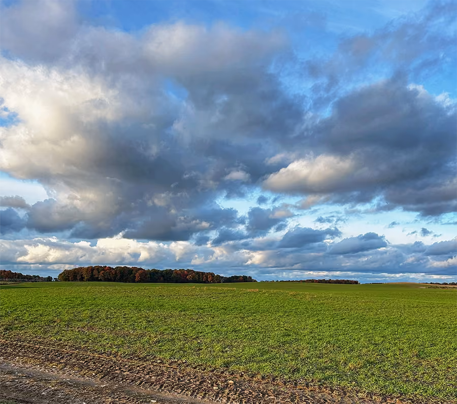 Vast green field under a dramatic sky filled with large, layered clouds and a strip of trees with autumn foliage on the horizon.
