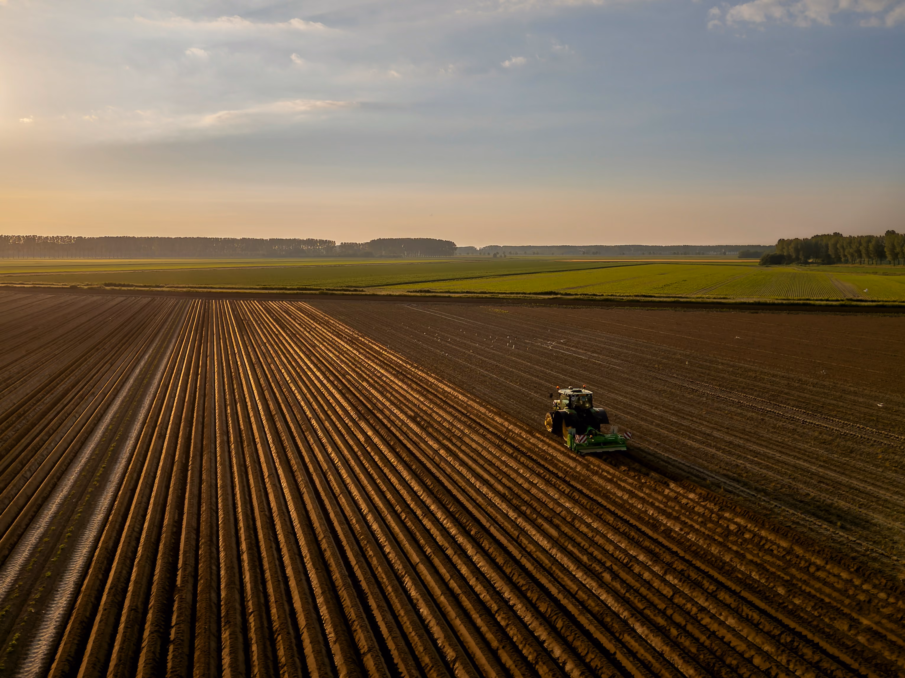A tractor plowing a large agricultural field at sunset with neatly arranged rows of soil, green fields and trees in the background, under a partly cloudy sky.