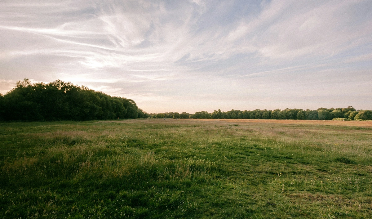 Wide open grassy field extending into the distance with dense tree lines on the left and far horizon under a partly cloudy sky at sunset.
