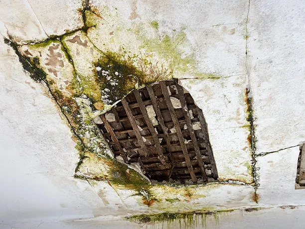 Mold and water damage spreading across a deteriorated wall