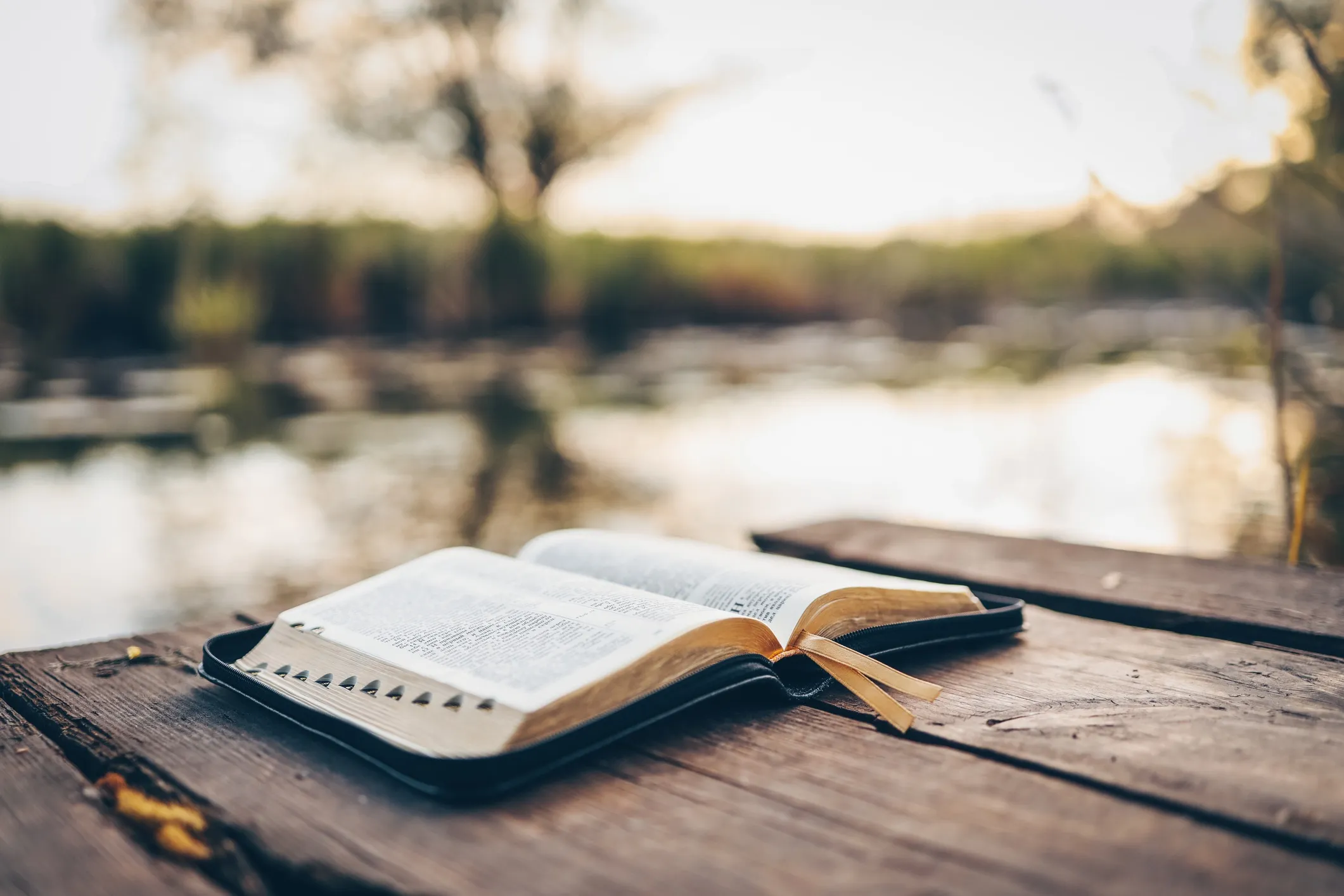 Open Bible
