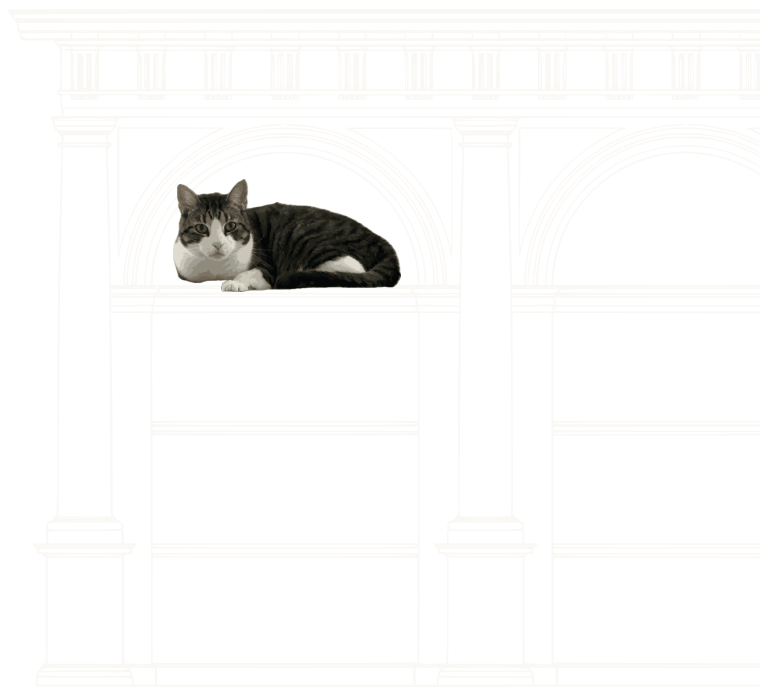 Tabby cat lying inside an outlined architectural arch on a black background.