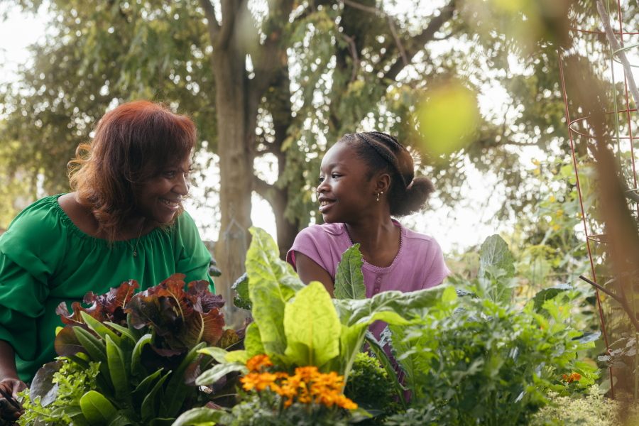 Two women sitting behind various plants and talking to one another.
