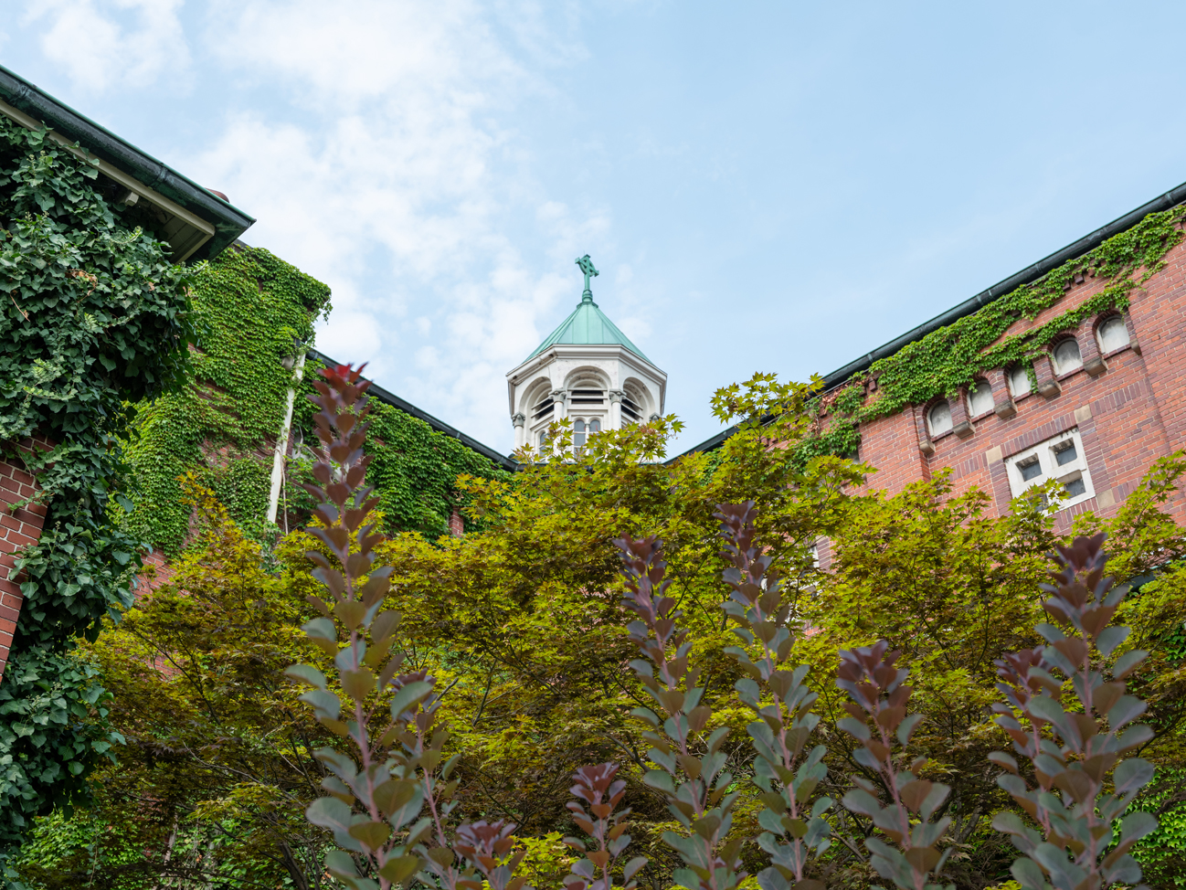 A photo looking up to the roof of a brick building covered by trees, only a portion of a tower visible over the top.