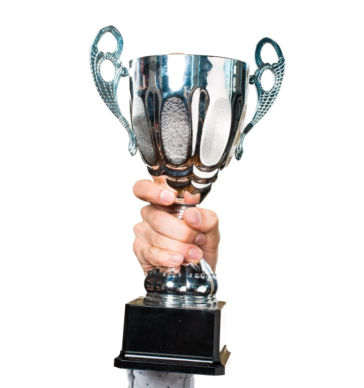 Business Innovation Award