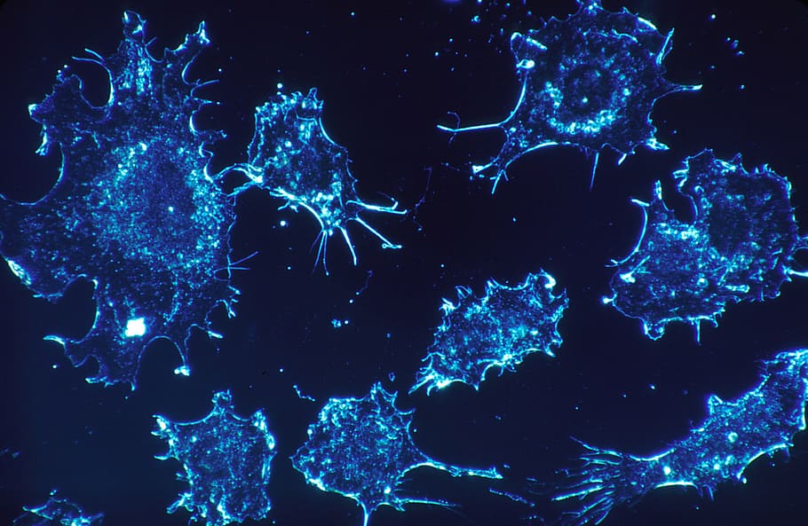 Keeping tabs on cancer