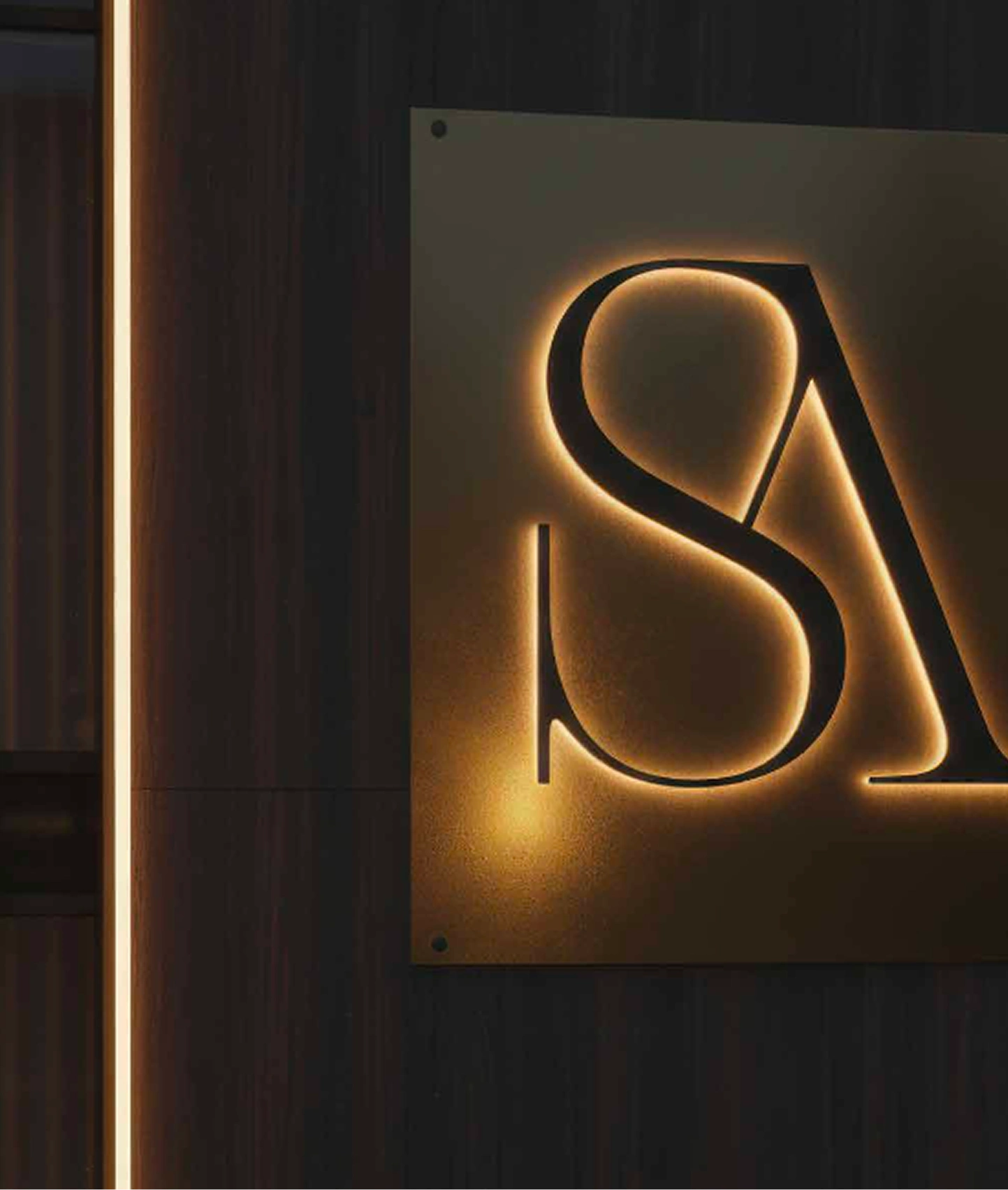 Selected brand identity and website design work by SAY Image Studio