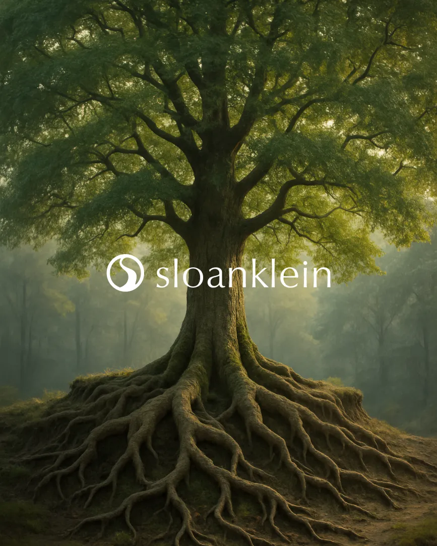 Large tree with sprawling roots and dense green foliage in a misty forest background.