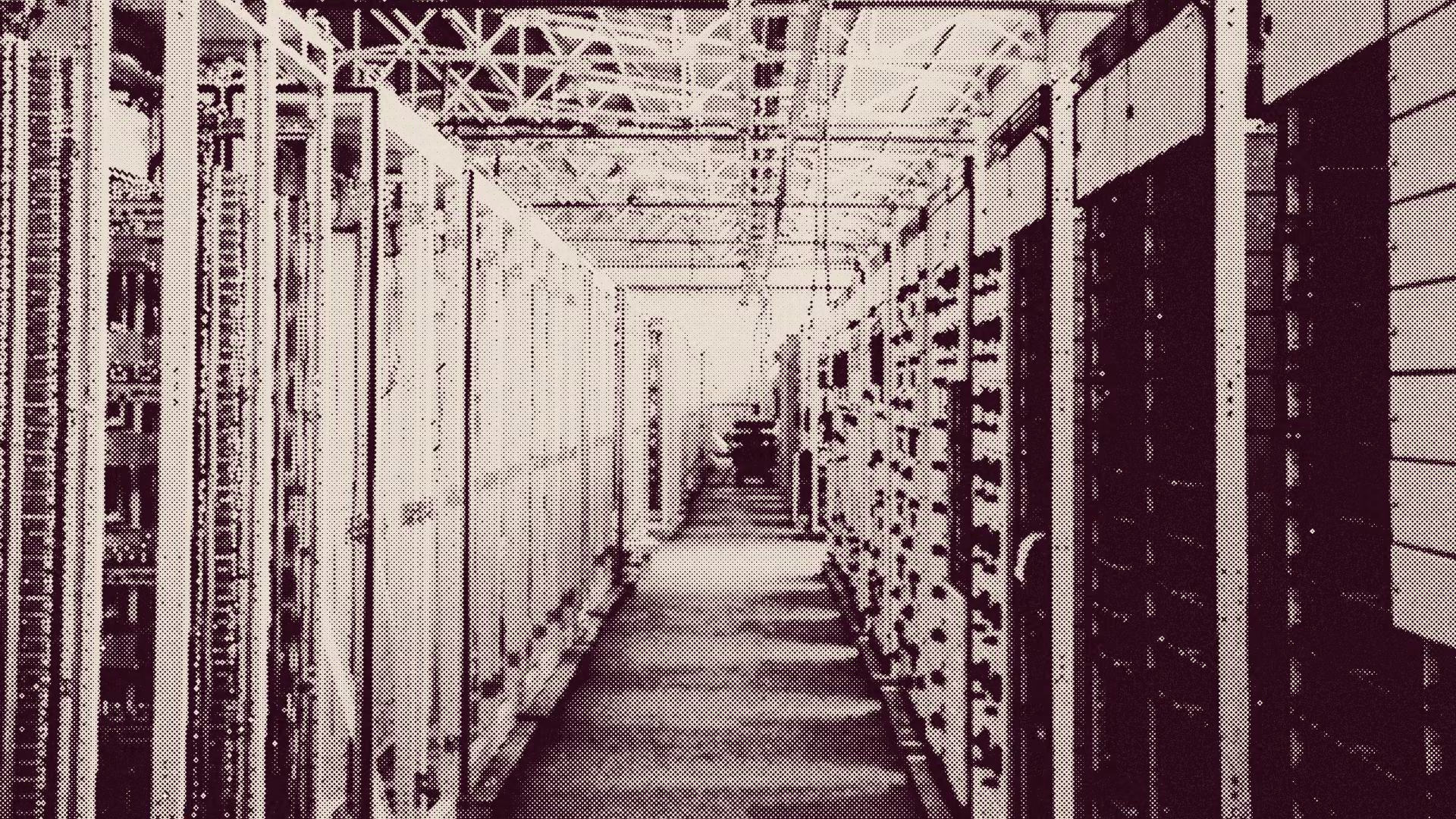 Rows of server racks in a data center