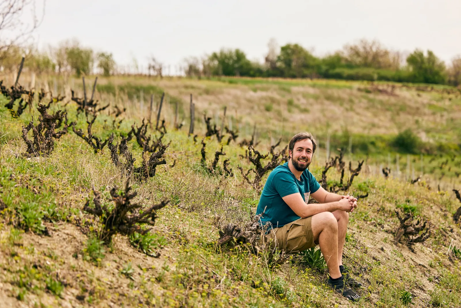 Winemaker among old bush vines in spring, brand photography for a winery
