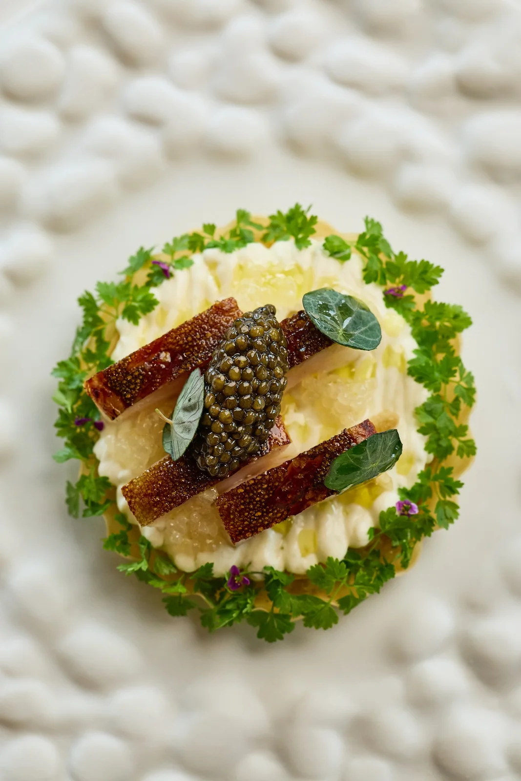 Tart with caviar and herbs, food photography for a fine dining restaurant