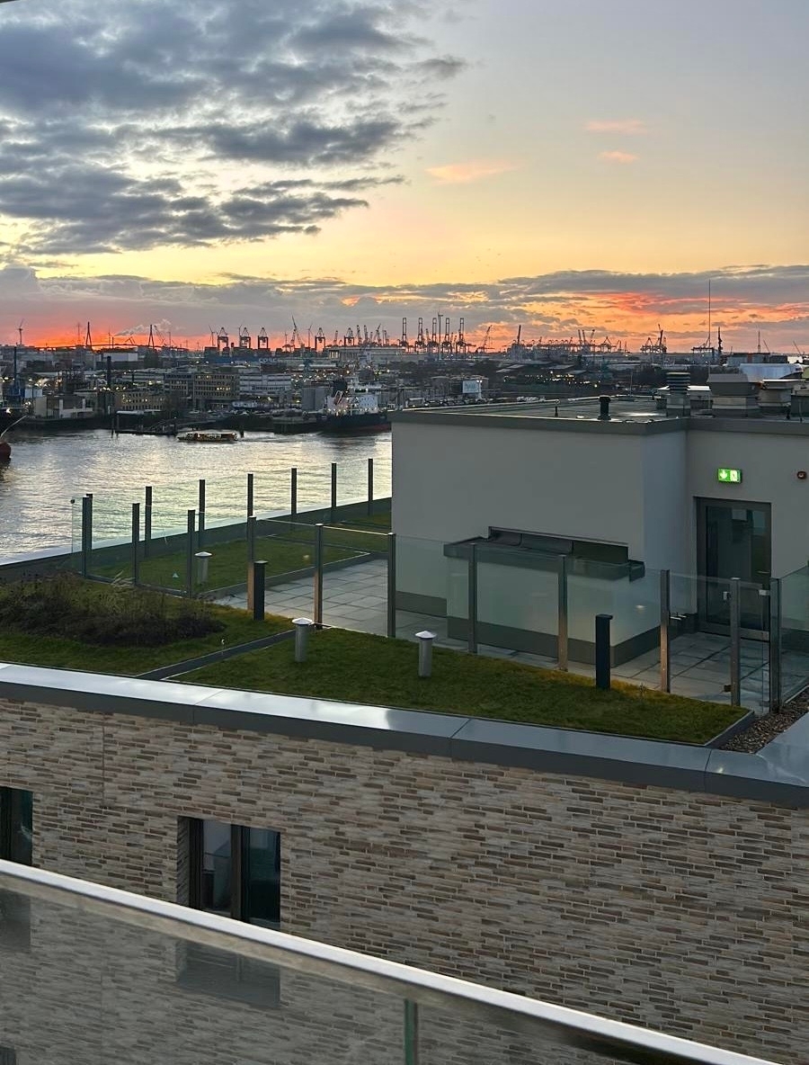 Abendstimmung Hafen Krähne