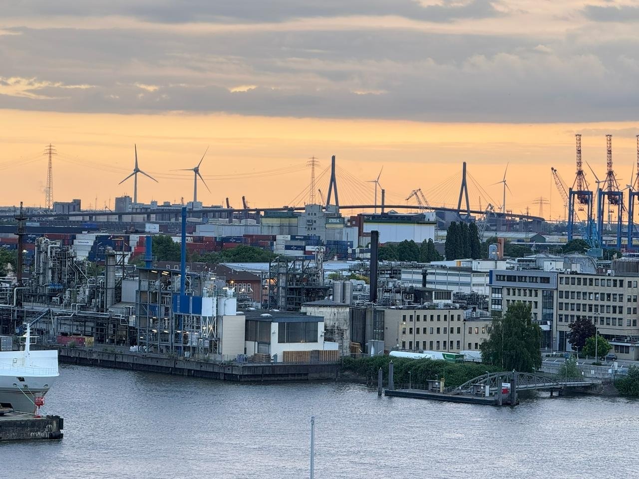 Hafenkrähne Elbe