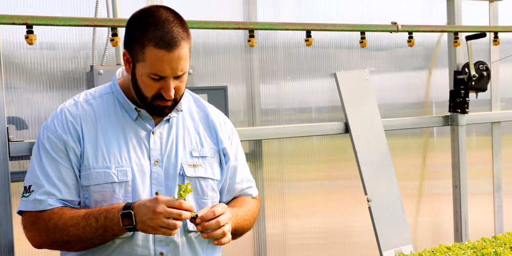 Man in a light blue shirt holding and examining a small plant inside a greenhouse with transparent walls and metal frames.