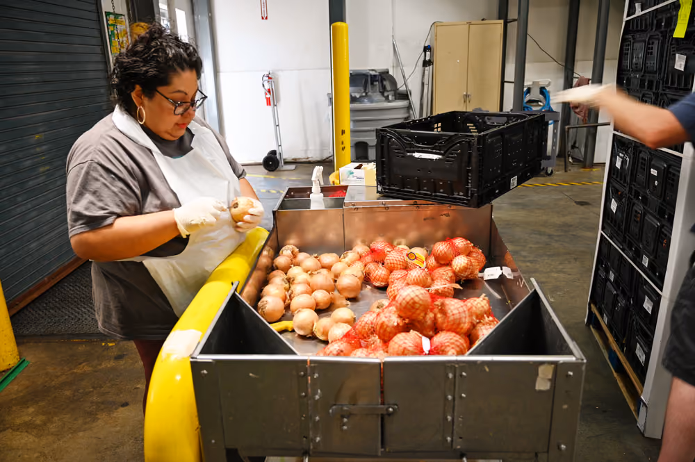 A woman wearing gloves and an apron inspects onions at a sorting station inside a warehouse with crates and industrial shelving in the background.