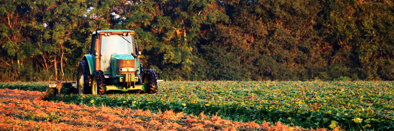 Green tractor cultivating a field with green crops, bordered by dense trees in the background under a clear sky.
