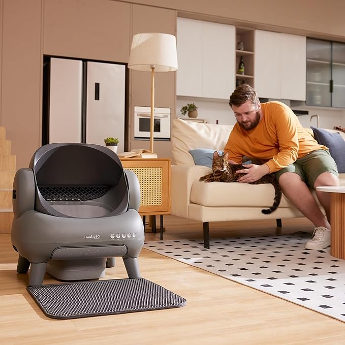 Two sleek PLAUD wireless speakers, one black and one gray, side by side on a gray background.