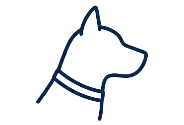 Dog Bites: Practice Area