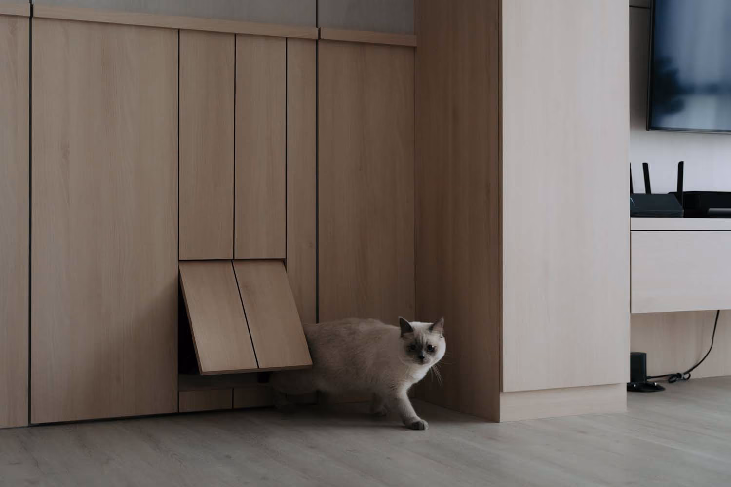 Pet-Friendly Organic Contemporary - 90 Bedok North Street 4 renovation by Luxior Concept, photo 1
