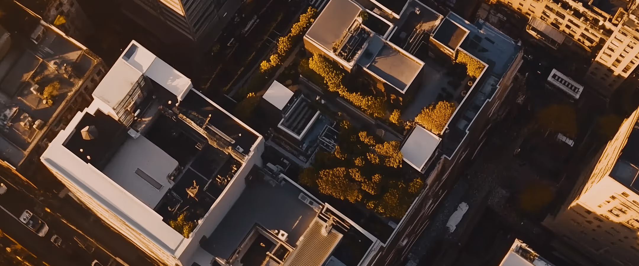 neighbourhood_heading