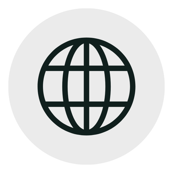Black globe icon with horizontal and vertical latitude and longitude lines inside a gray circle.