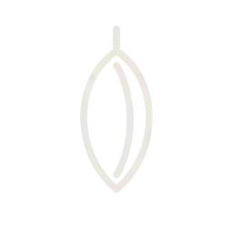 Simple beige outline of a vertically oriented seed with inner vein detail on black background.