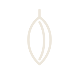 Jojoba