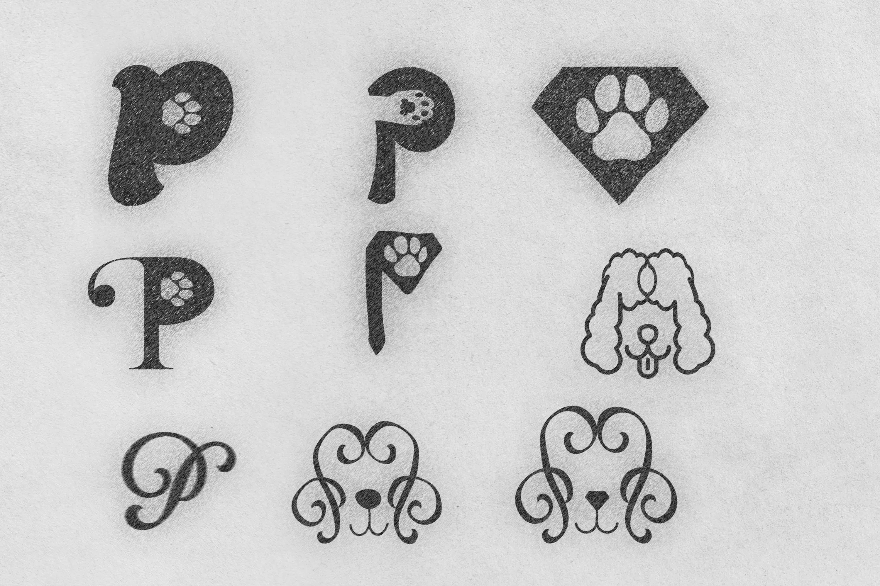 Posh Paws logo design process